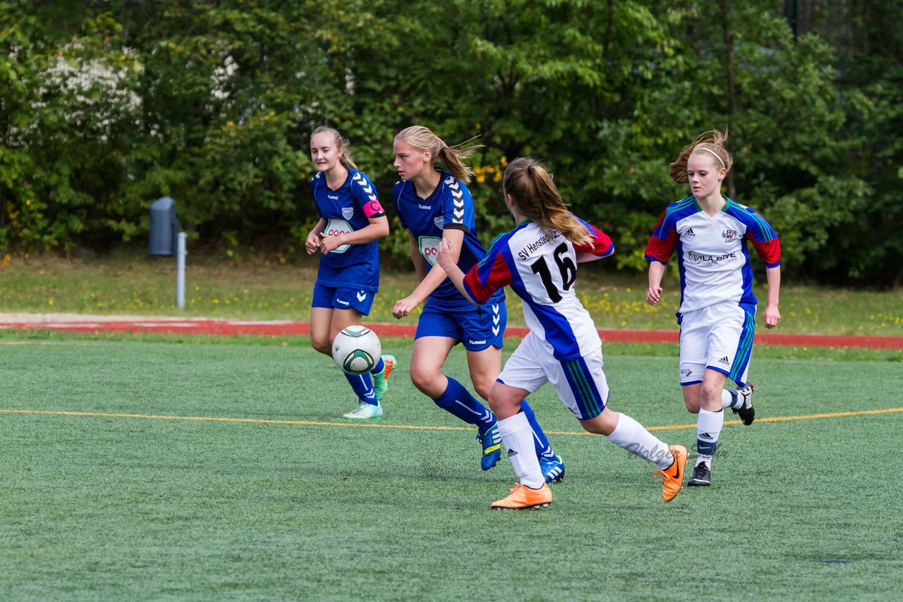 Bild 53 - B-Juniorinnen SV Henstedt Ulzburg - FSC Kaltenkirchen : Ergebnis: 3:2